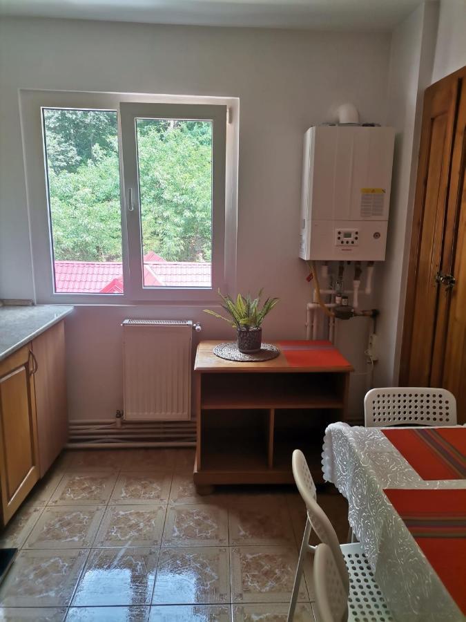 Montana Apartment *